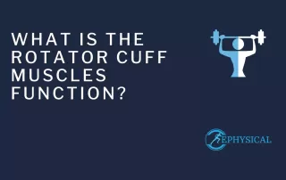 Rotator cuff muscles function blog featured image