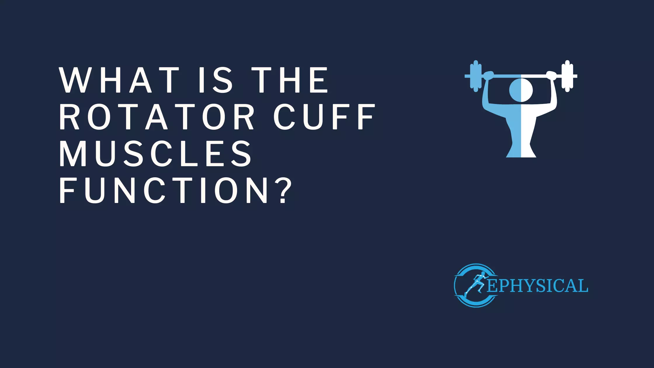 Rotator cuff muscles function blog featured image