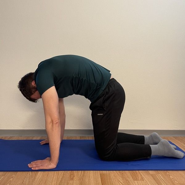 back extensor stretch ending position how to touch your toes