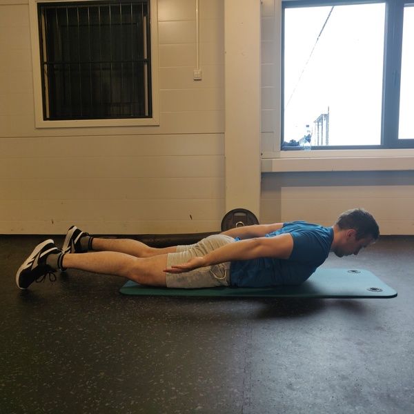prone arm lift with arms beside body