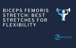 biceps femoris stretch