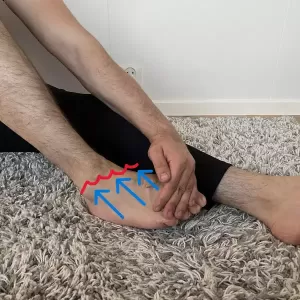 tibialis anterior stretch pnf contract-relax technique