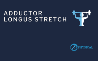 adductor longus stretch