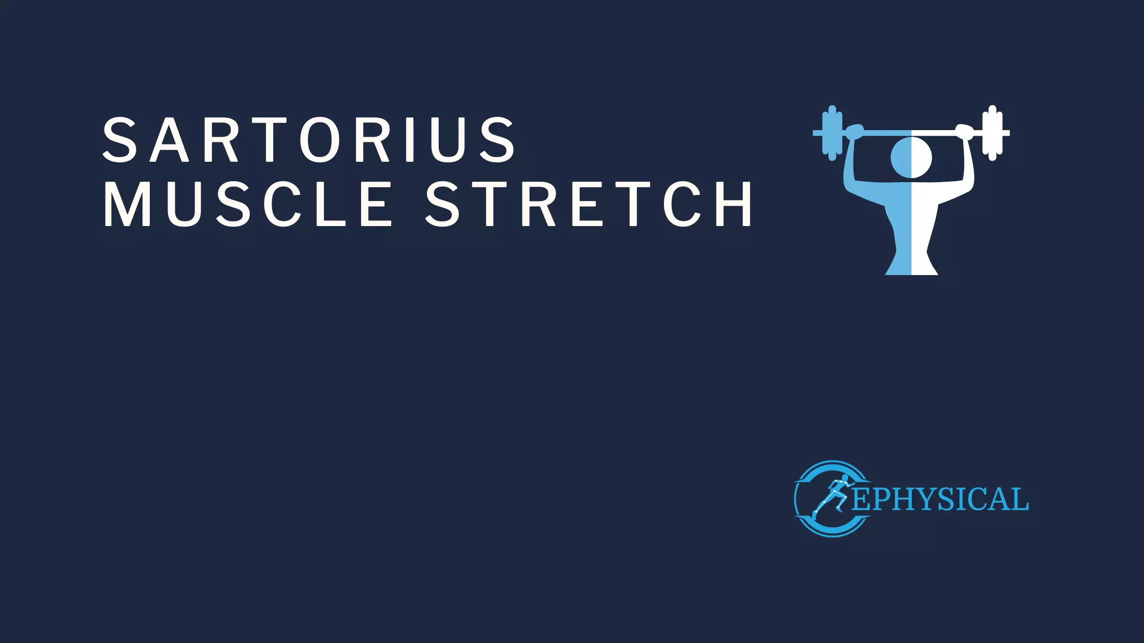 sartorius stretch