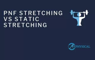 pnf stretching vs static stretching