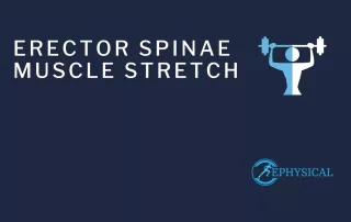 erector spinae stretch