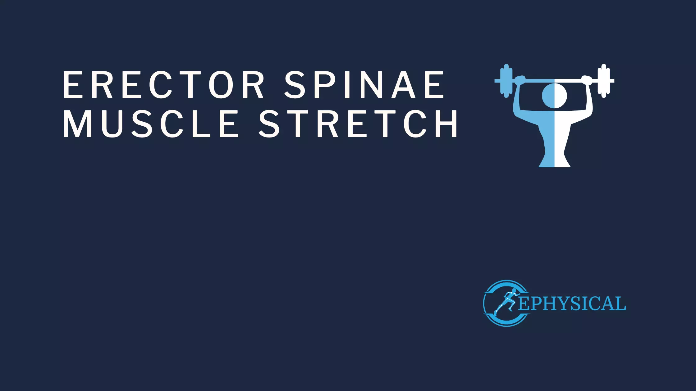erector spinae stretch