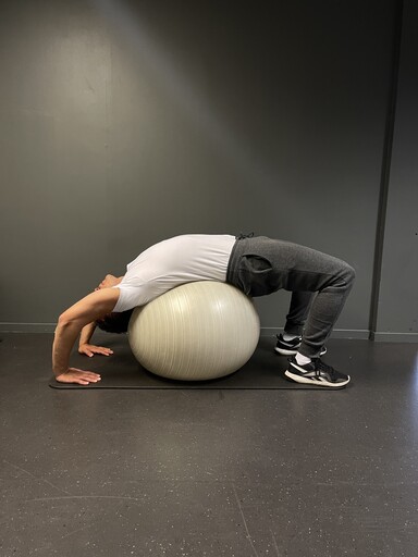 advanced yoga ball stretch