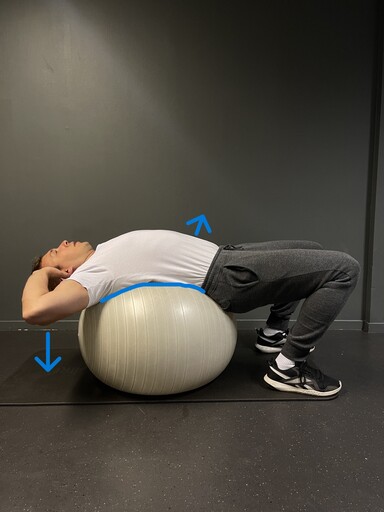 basic yoga ball stretch
