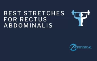 rectus abdominis stretch