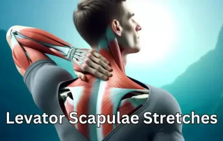 levator scapulae stretch blog cover