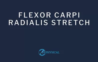 Flexor carpi radialis stretch