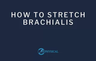brachialis stretch