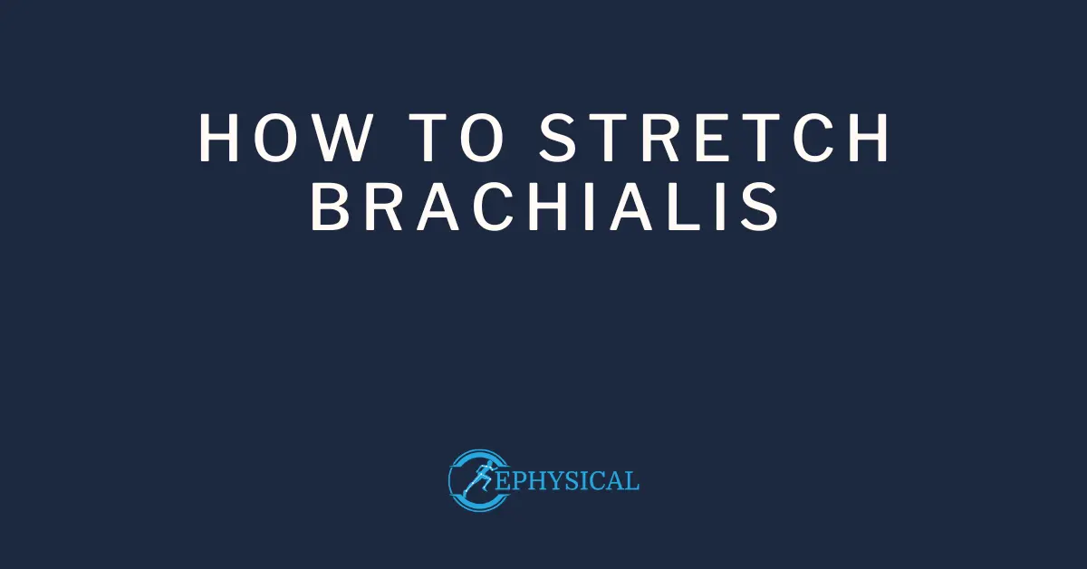 brachialis stretch