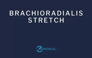 brachioradialis stretch