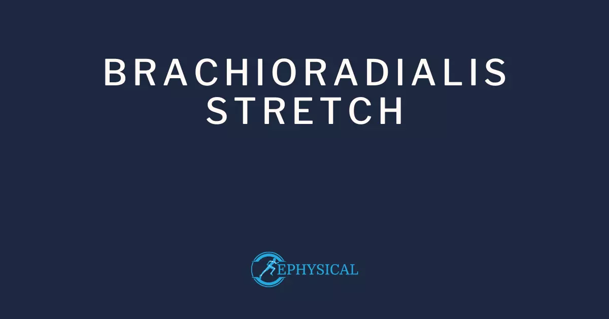 brachioradialis stretch