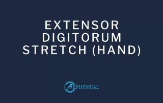 extensor digitorum stretch hand