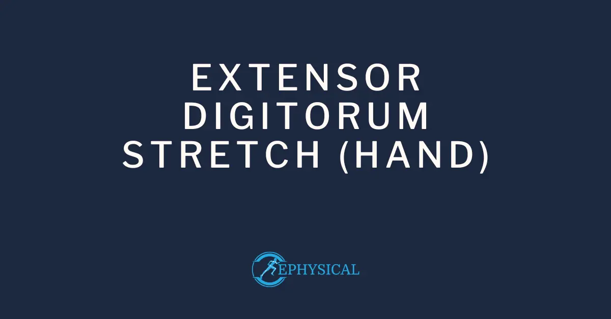 extensor digitorum stretch hand