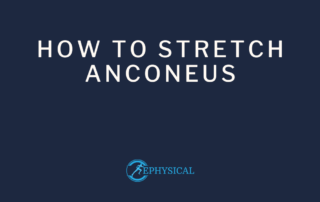 how to stretch anconeus muscle