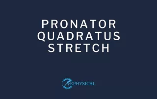 pronator quadratus stretch